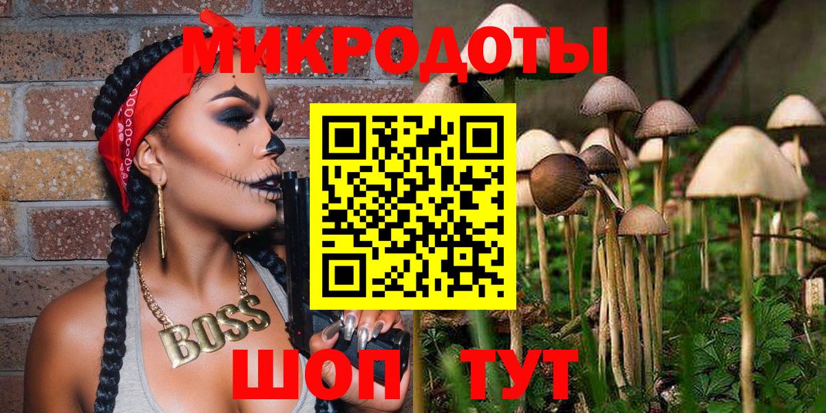 Галлюциногенные грибы мицелий Новокуйбышевск