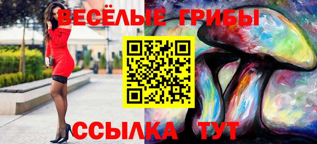 Галлюциногенные грибы Psilocybe  закладки  Новокуйбышевск  Вход с VPN 